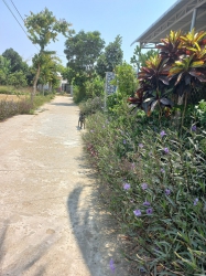  tại Quảng Nam