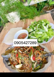 Cung cấp dịch vụ giao hàng đa dạng tại Quảng Nam