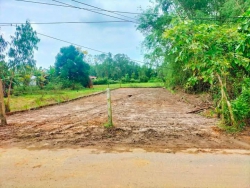 Đất lô liền kề biệt thự 350m2 mặt tiền đường 10m5 gần chợ tại Quảng Nam