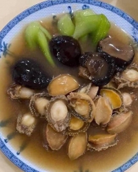 Bán bào ngư Cù Lao Chàm size mini tại Quảng Nam