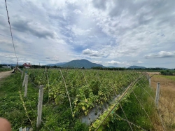 nh tại Quảng Nam