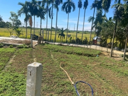 Đất ở Điện Nam Đông hơn 500m2, phân lô tách thửa, giá 1 tỷ 2 triệu tại Quảng Nam