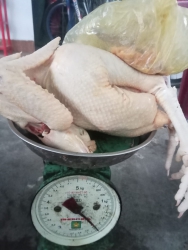 Gà tươi roty rang mặn tại Quảng Nam