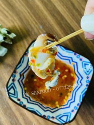 Sẵn ốc nhảy - Shipper đang chạy lên đơn ship ngay & luôn ạ tại Quảng Nam