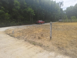 Block 3 lô Tam Đàn mới ra chỉ còn 1 lô duy nhất tại Quảng Nam