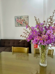 Toà căn hộ 4 tầng, 8 phòng, doanh thu 40 triệu/tháng. Khu vực kinh doanh sầm uất, khu giải trí cao tại Quảng Nam