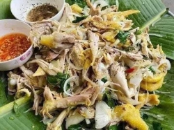 Sale rẻ gà tre và gà to tại Quảng Nam