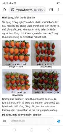 Em chỉ bán dâu mỹ đá Đà lạt ko bán dâu trung quốc tại Quảng Nam