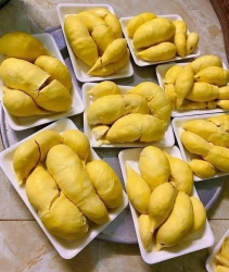 Lô Sầu Thái Hạt Lép Siêu Ngon tại Quảng Nam