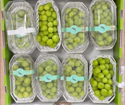 Hôm nay cửa hàng có sẵn tại Quảng Nam