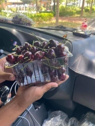 thùng cheery tươi rói như hình ,hình thật cuốn tươi rói nha tại Quảng Nam