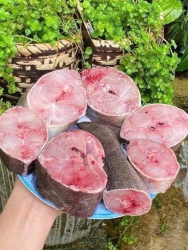 Cá bớp 99k/1kg tại Quảng Nam