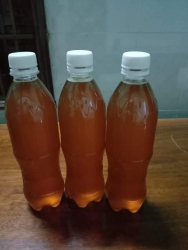 Bán đồ chơi trẻ em chất lượng cao tại Quảng Nam