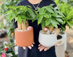 79 GARDEN SCENE tại Quảng Nam