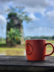 Đất ở Cẩm Thanh, Hội An tại Quảng Nam