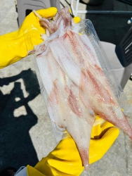 Mực 1 nắng xịn xòn tại Quảng Nam