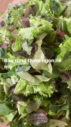 Gỏi cá nam ô và khô hành Tây Phú Quốc tại Quảng Nam