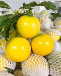 Menu mai thứ 5, tùm lum món ngon, khách gộp đơn nhìu món mai e giao lun nha tại Quảng Nam