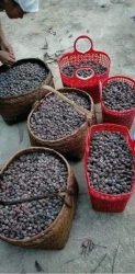 Cả nhà mỗi người ủng hộ em ít cân với ak tại Quảng Nam