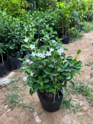 CÔNG TY TNHH TƯ VẤN THIẾT KẾ ĐẦU TƯ XÂY DỰNG 79DESIGN tại Quảng Nam