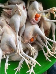 E dang sip bi hủy 5 ga om. TrưngCon to tam 1kg6 1 ConE xa nhanh tại Quảng Nam