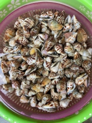  tại Quảng Nam