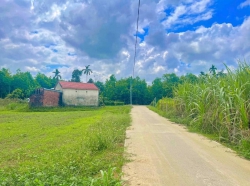 Bán lô đất trồng cây Hoà Nhơn tại Quảng Nam