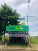 Giáo viên mầm non làm việc tại trường Sen Hồng tại Quảng Nam