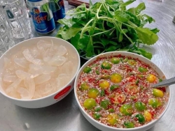 Gỏi Cá Trích Đặc Sản Nam Ống, Gỏi Sứa ngâm mắm Nhĩ tại Quảng Nam