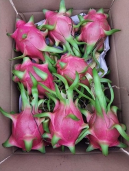 Bữa này mà có Thanh Long trắng đẹp thì cả nhà cùng thưởng thức nha tại Quảng Nam