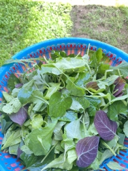 Chủ nhật thì làm gì nè tại Quảng Nam