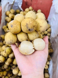 Bán bonbon Thái Lan tự chế.. Khách hàng bị nhiễm sản phẩm chay tại Quảng Nam
