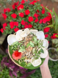 n – Ăn là mê - mê là mê tại Quảng Nam