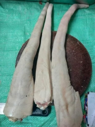  tại Quảng Nam