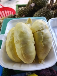 Bán đất khu vực hồ Tây Hà Nội tại Quảng Nam