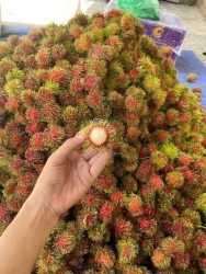  tại Quảng Nam