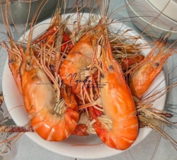 Tôm càng xanh tươi như quả chanh tại Quảng Nam