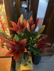 Danh sách hoa hôm nay tại Quảng Nam