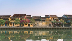 Bán đất trồng cây 154m2 cách khu du lịch Hội An 7km tại Quảng Nam