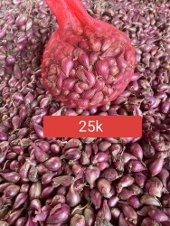 Vợt giúp lô hành, giá sale khách nha tại Quảng Nam