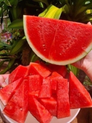 Menu trái cây thứ 5 tại Quảng Nam