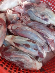 Đuôi bò nhỏ nhưng chất lượng tươi ngon tại Quảng Nam