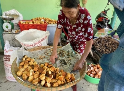 Bánh Thuẩn Cá Rim Cù Lao Chàm Gửi Đồng Bào Miền Bắc tại Quảng Nam