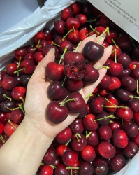 Cherry Mỹ Vip Cập Bến Tại Cửa Hàng Food Mart tại Quảng Nam