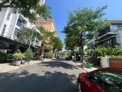 t cầu Rồng tại Quảng Nam