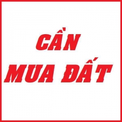 Cần Mua Đất Các Khu Đô Thị Tại Làng Đại Học, KĐT 1A, 1B, Số 3, Số 4, Thái Dương tại Quảng Nam