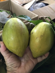 tại Quảng Nam