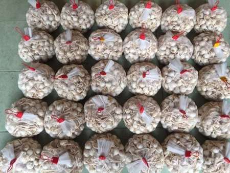 TỎI LÝ SƠN. tại Quảng Nam