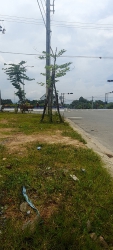 Bán đất TĐC nam nhà vườn Hoà Ninh tại Quảng Nam