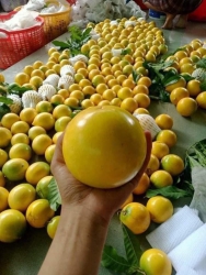 ch ơi đã rẻ còn siêu nữa nha tại Quảng Nam